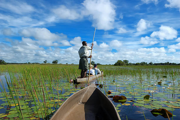 Okavango image
