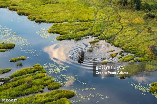 Okavango Delta